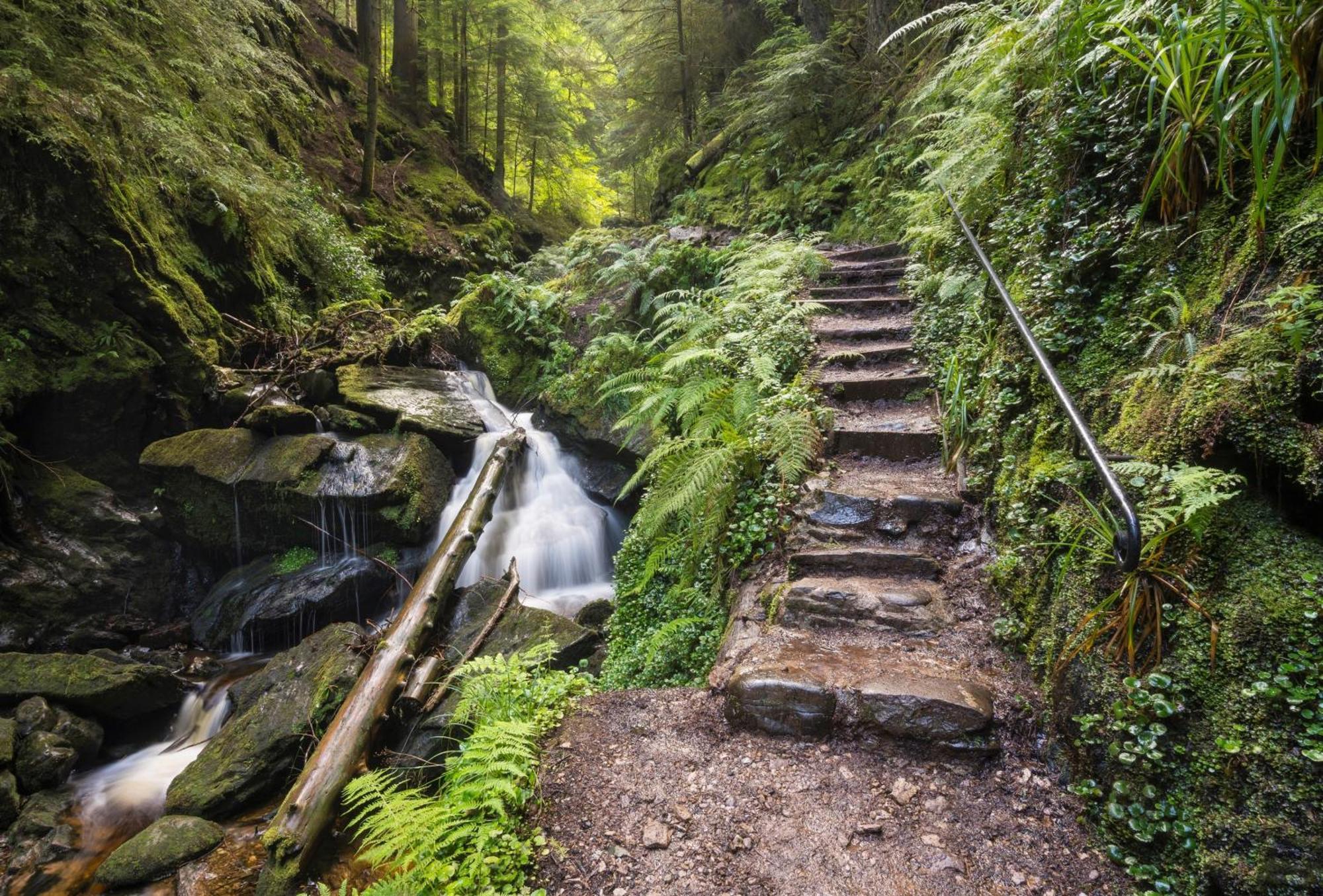 18 Lamont Lodges Dunoon Eksteriør bilde